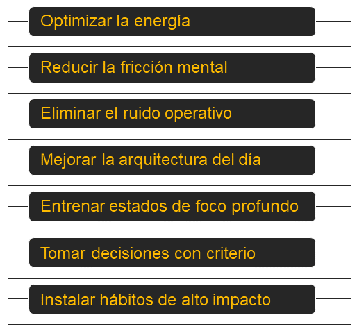 Aspectos en los que se basa la promesa central de la mentoría personalizada Superhumano de Miguel Navarro